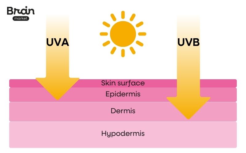 Slunce jako přirozený zdroj vitamínu D